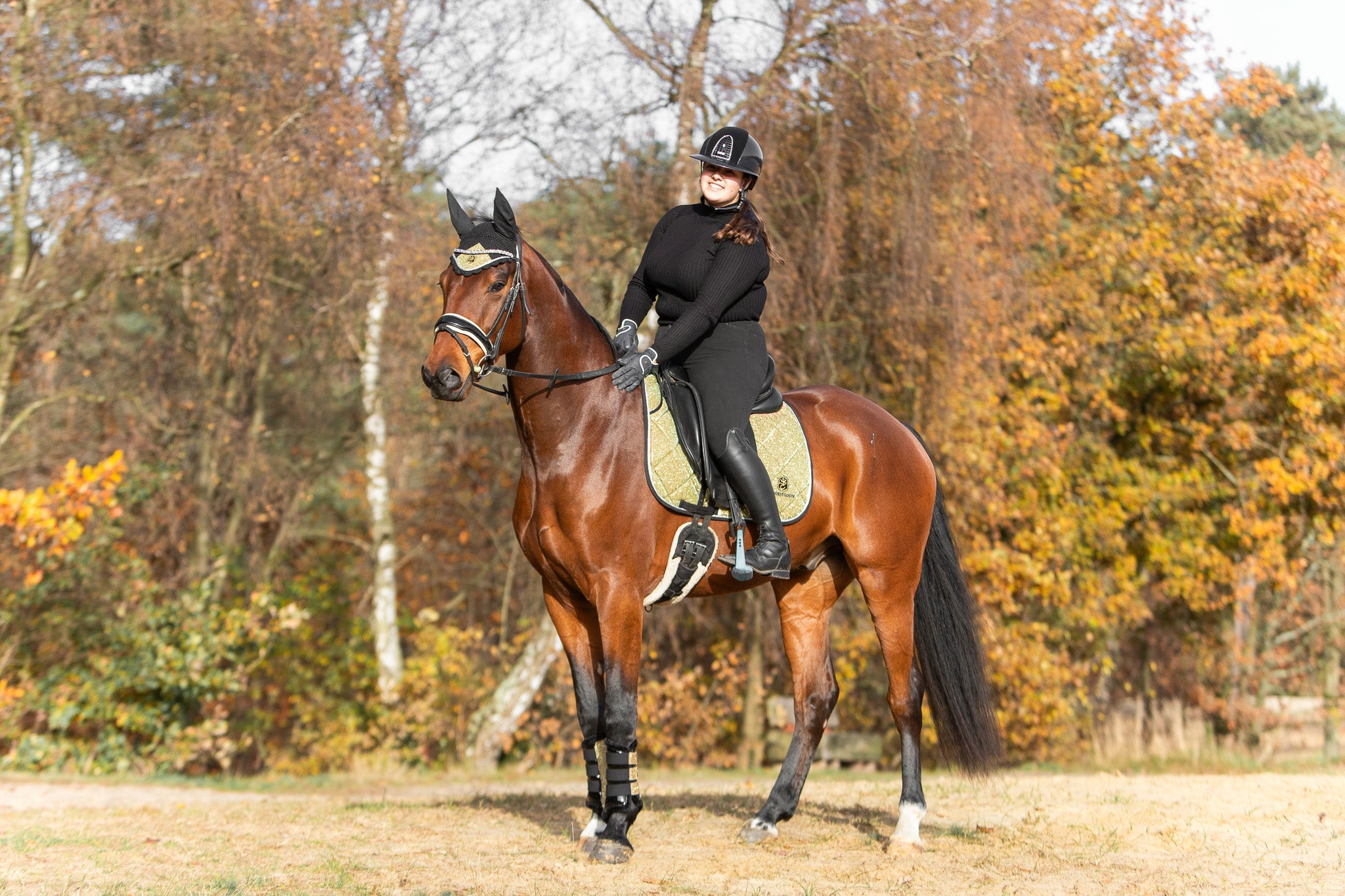 Astris Saddle Pad Set - Equine Exchange Tack Shop