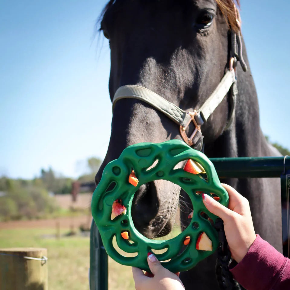 Luna® Ring Horse Toy