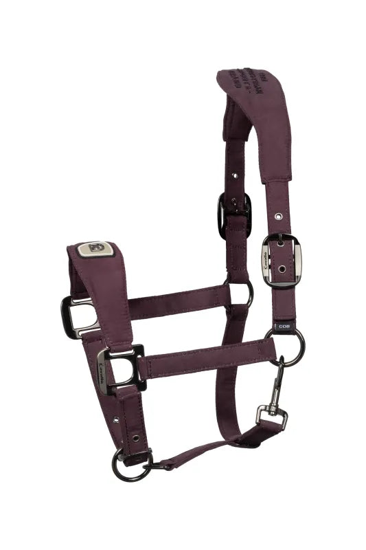 Cavallo Pawel Padded Halter