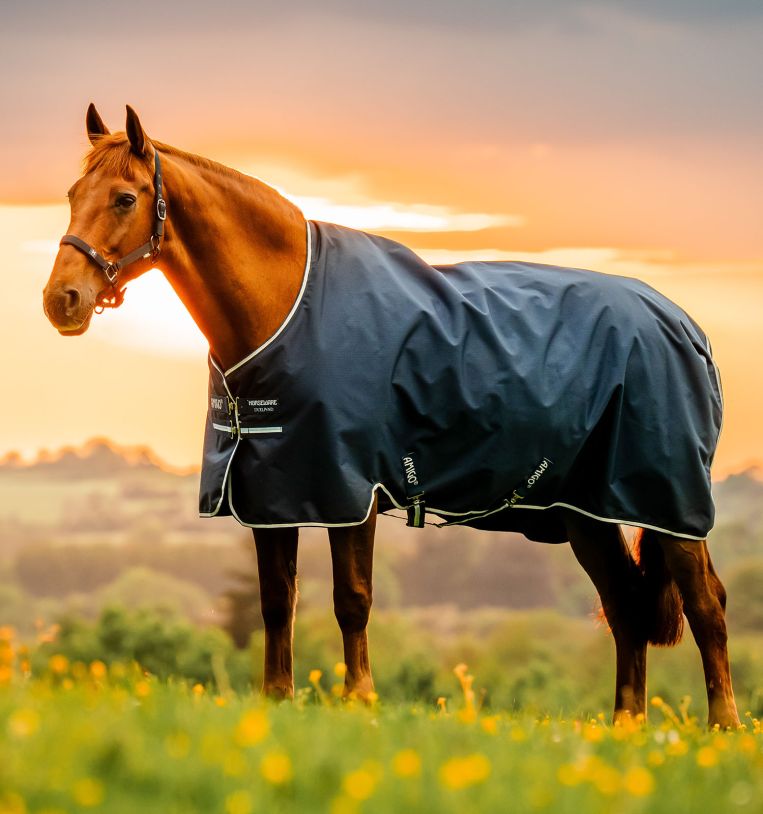 Amigo Ripstop 900D PONY Turnout 200g Blanket - Equine Exchange Tack Shop