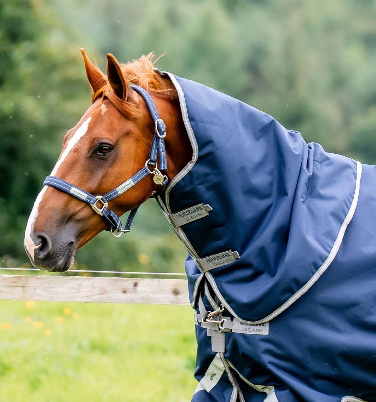 Amigo 1200D Turnout Hood 150G - Equine Exchange Tack Shop