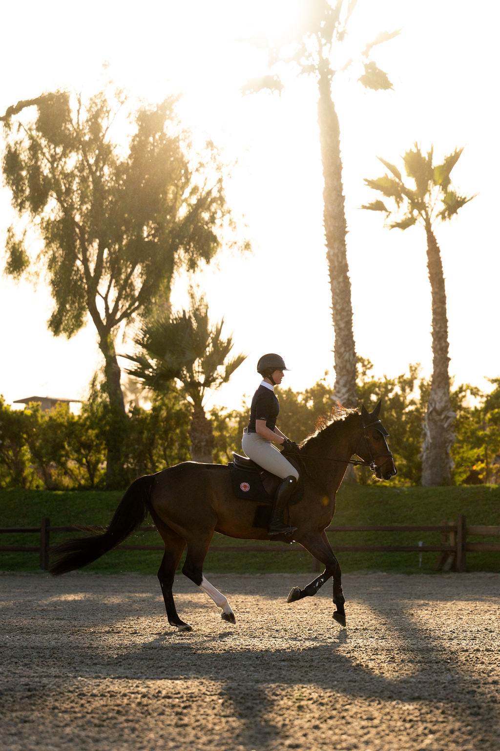 BellEq™ OLIVIA Show Shirt - Equine Exchange Tack Shop