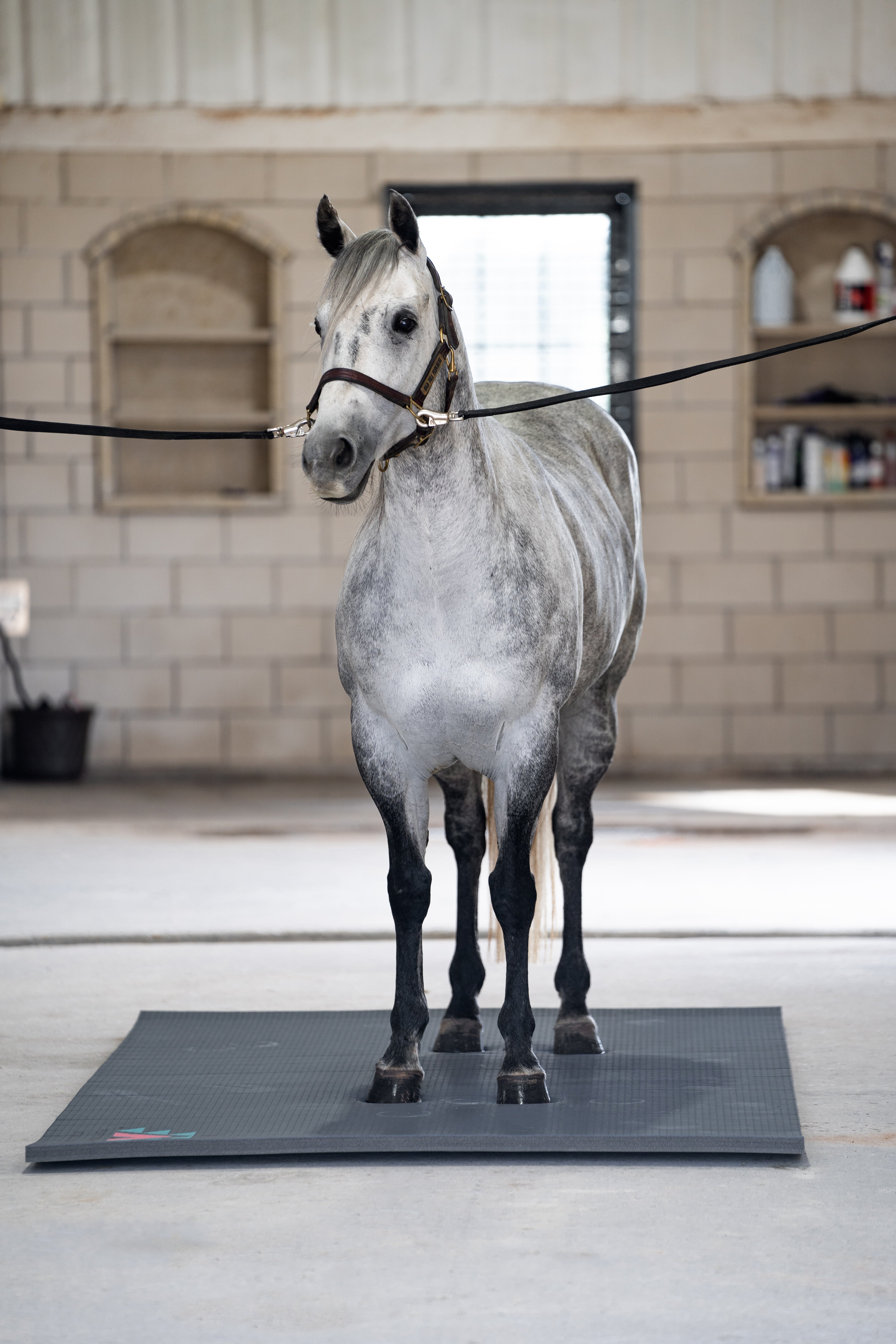 5x10ft Black Stall Mat - Equine Exchange Tack Shop