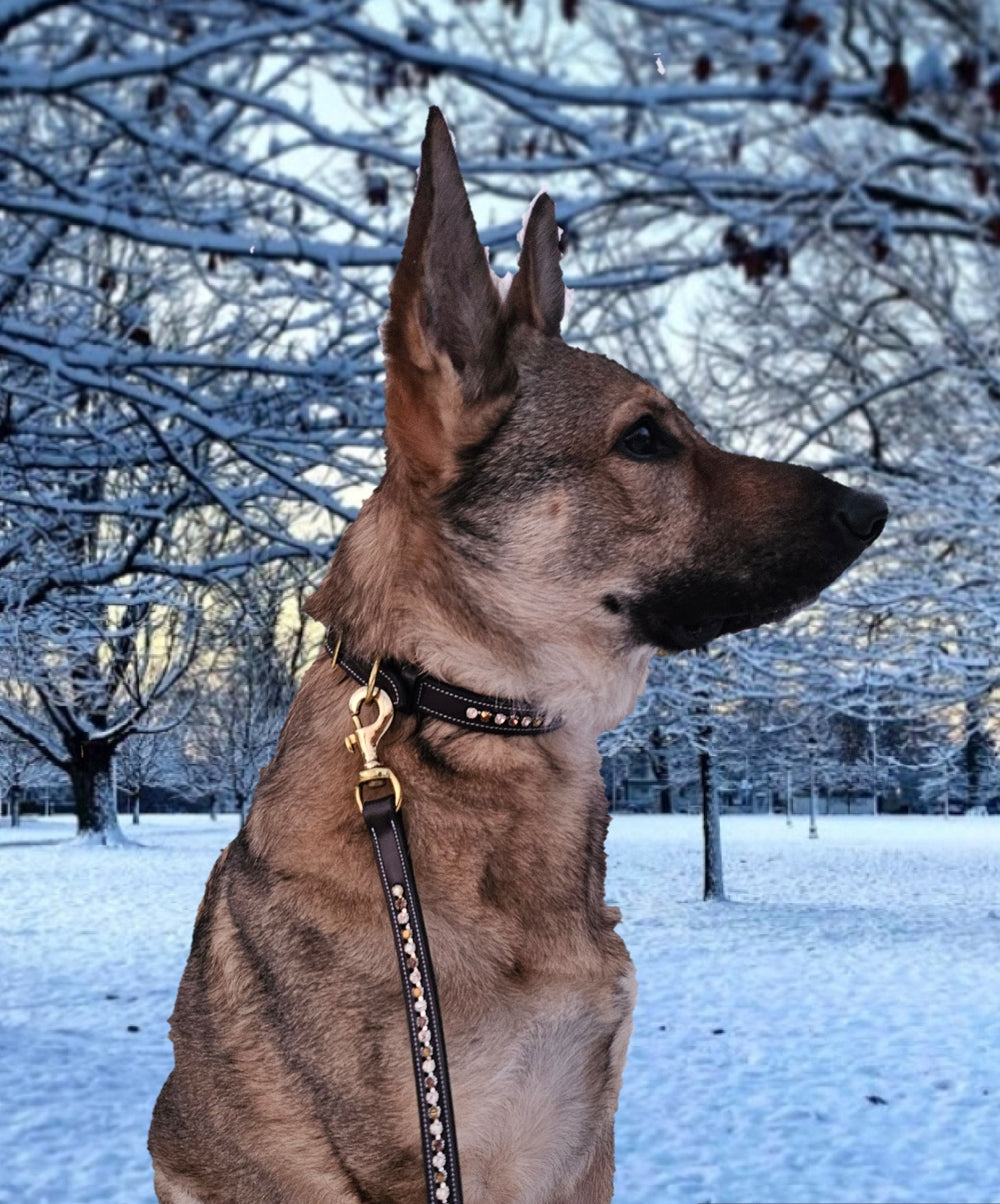 KL Select Crystal Dog Leash - Equine Exchange Tack Shop