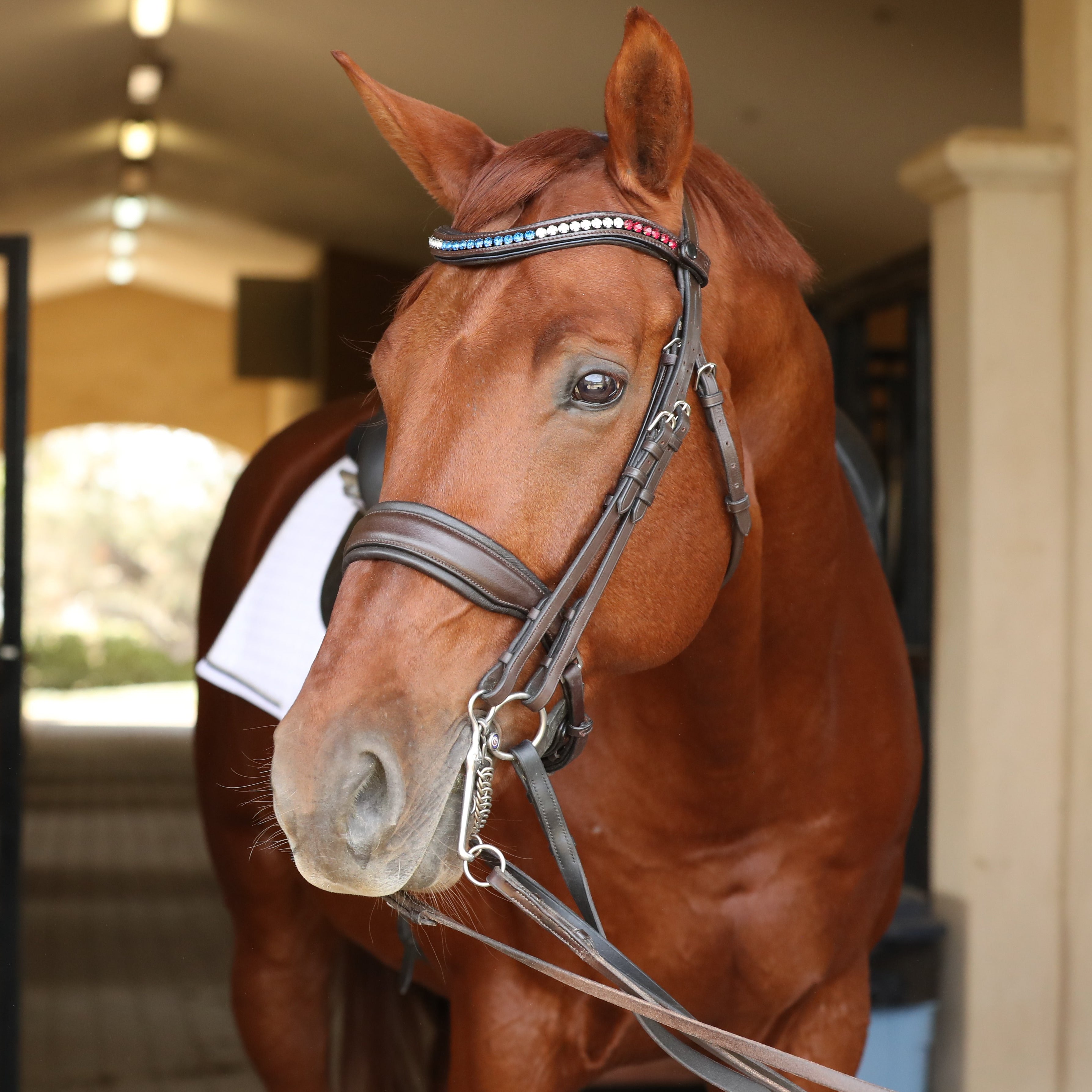 Crystal Browband - Americana 2 - Equine Exchange Tack Shop
