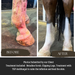 Antifungal Treatment - Equine Exchange Tack Shop
