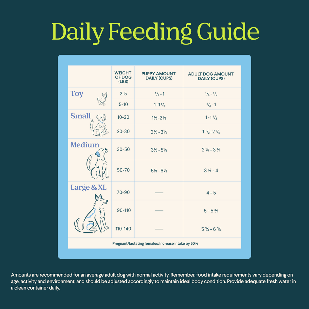 Silver Carp Dog Food - Equine Exchange Tack Shop