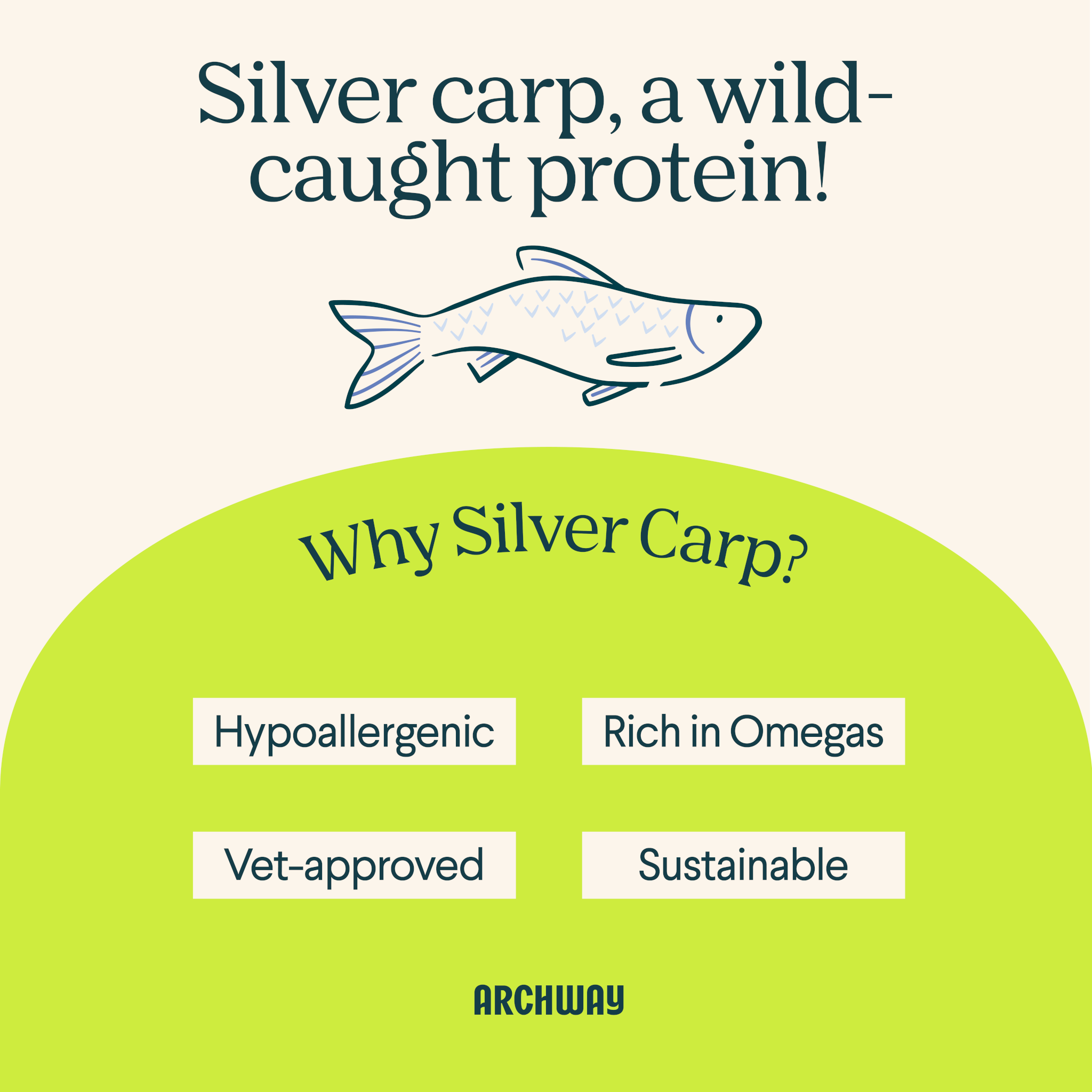 Silver Carp Dog Food - Equine Exchange Tack Shop