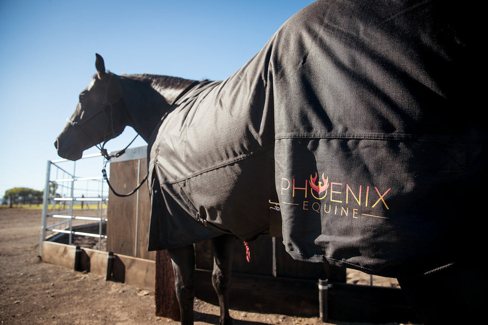 Phoenix Equine 1200D Turnout Blanket - Equine Exchange Tack Shop
