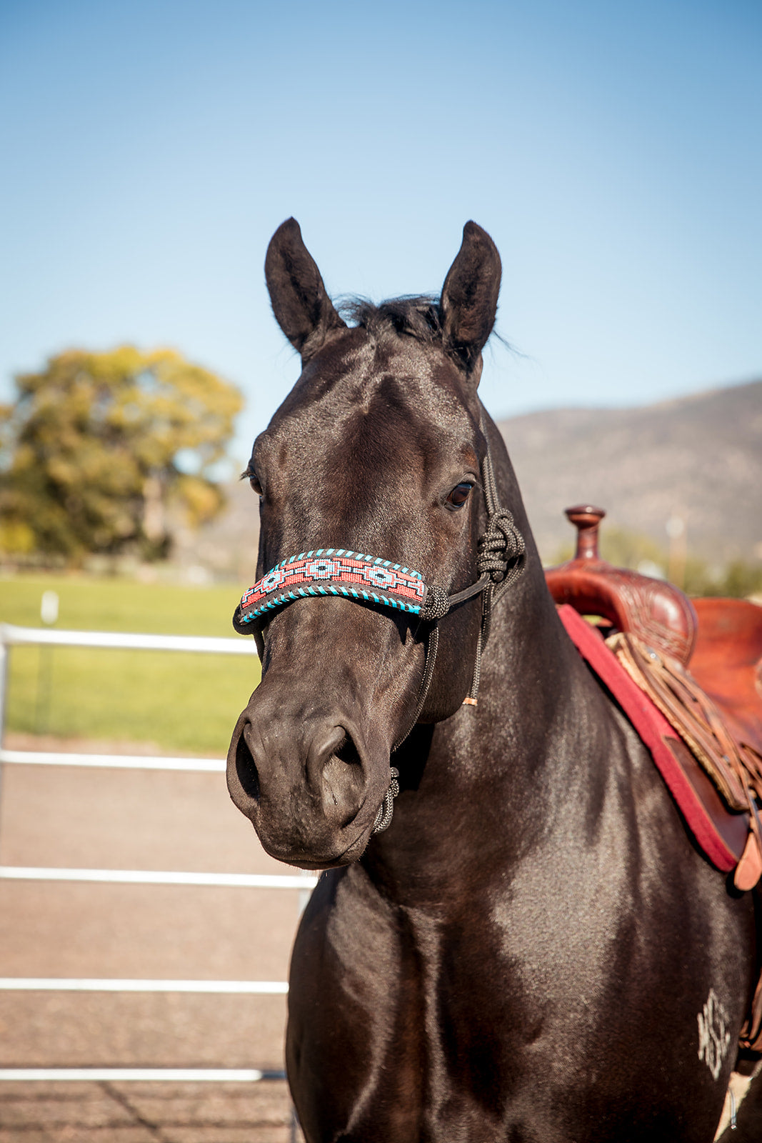 The Navajo Halter - Equine Exchange Tack Shop