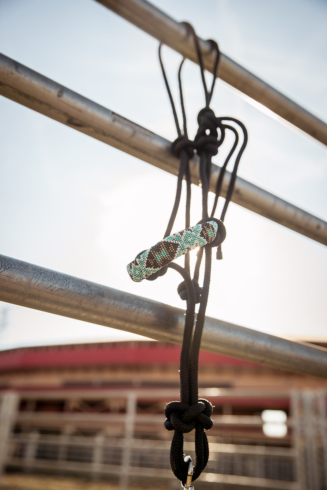 The Cassidy Halter - Equine Exchange Tack Shop