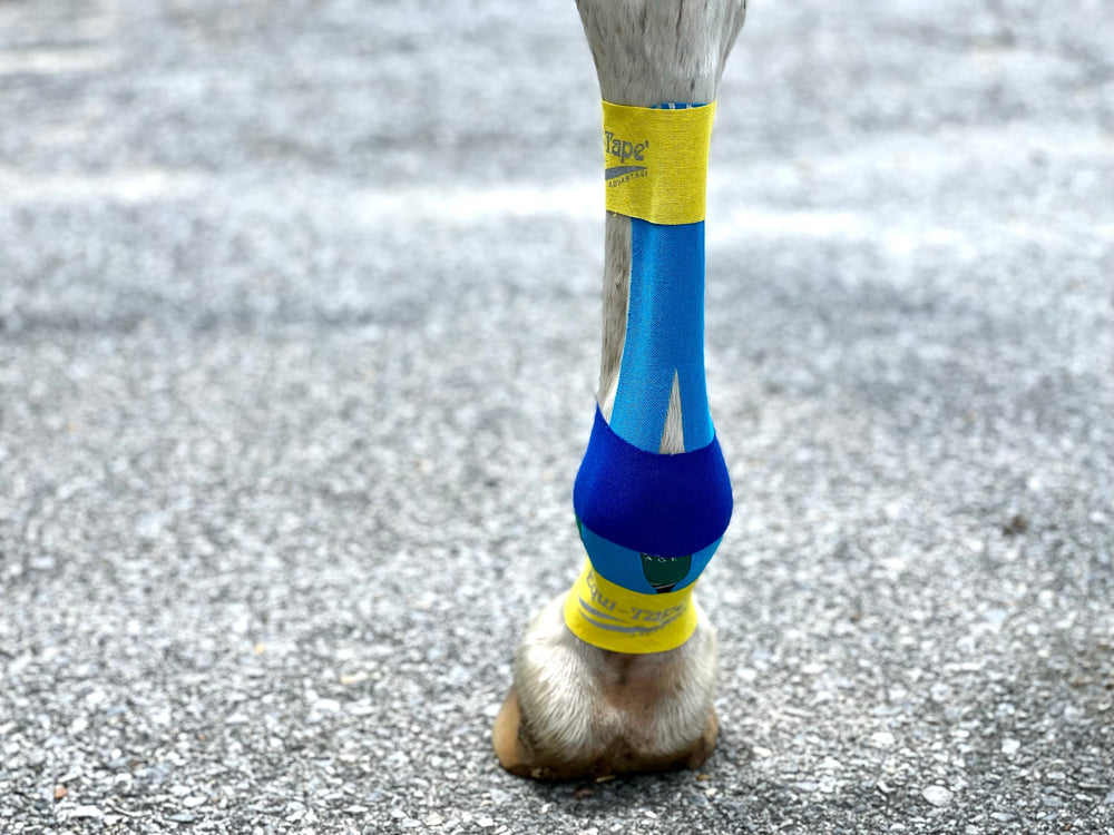 Equi-Tape® Fundamentals Course & Module Bundle - Equine Exchange Tack Shop