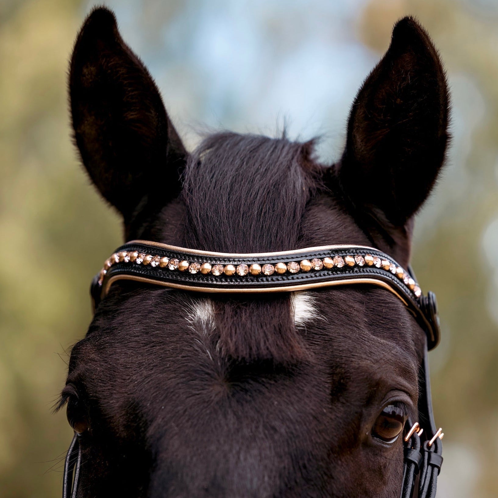 Aurelia Rose Gold Black Patent Snaffle Bridle with Removable Flash - Equine Exchange Tack Shop