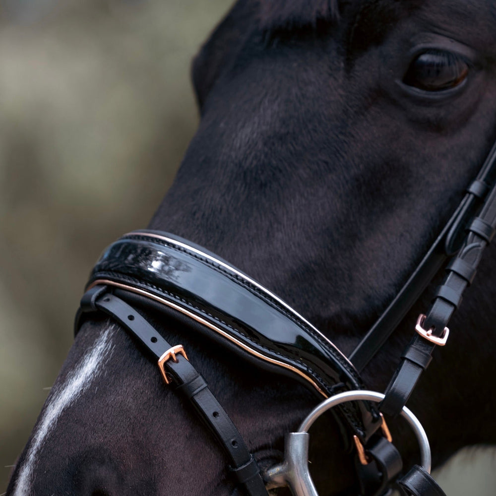 Aurelia Rose Gold Black Patent Snaffle Bridle with Removable Flash - Equine Exchange Tack Shop