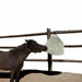 Freedom Feeder Trailer/Mini Net - 2 Flake Capacity - 3 Slow Feed Mesh Options - Equine Exchange Tack Shop