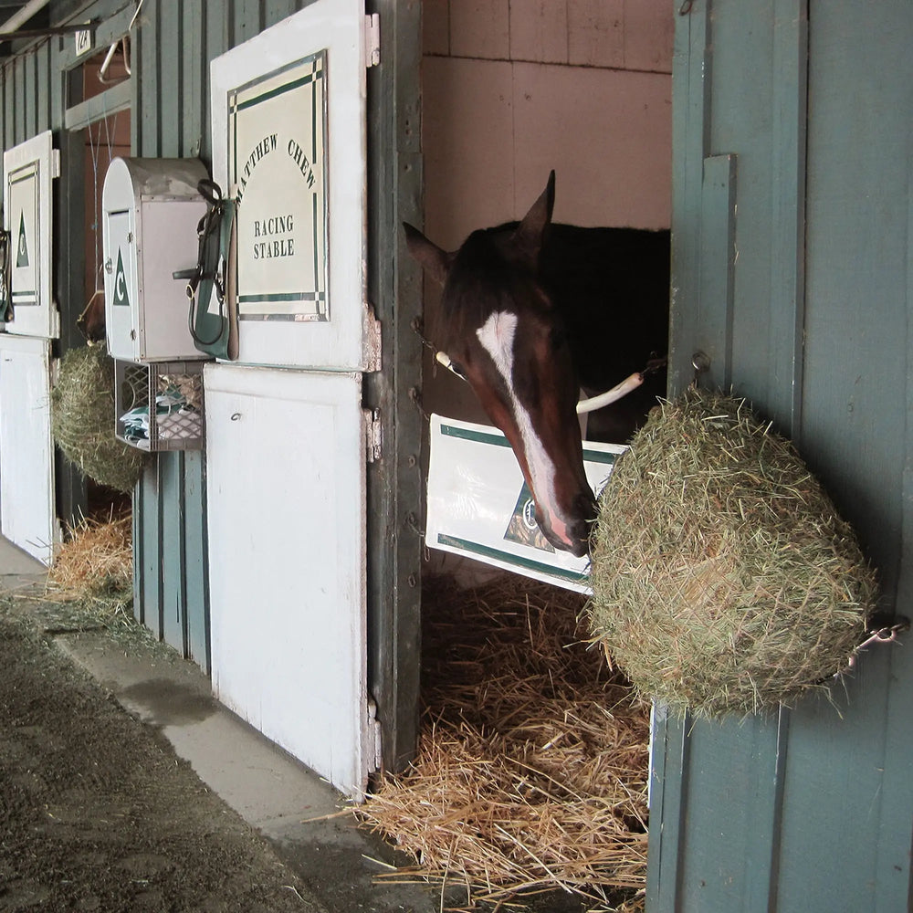 Freedom Feeder Trailer/Mini Net - 2 Flake Capacity - 3 Slow Feed Mesh Options - Equine Exchange Tack Shop
