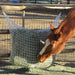 Freedom Feeder Extended Day Net - 2 String Bale Capacity - 3 Slow Feed Mesh Options - Equine Exchange Tack Shop