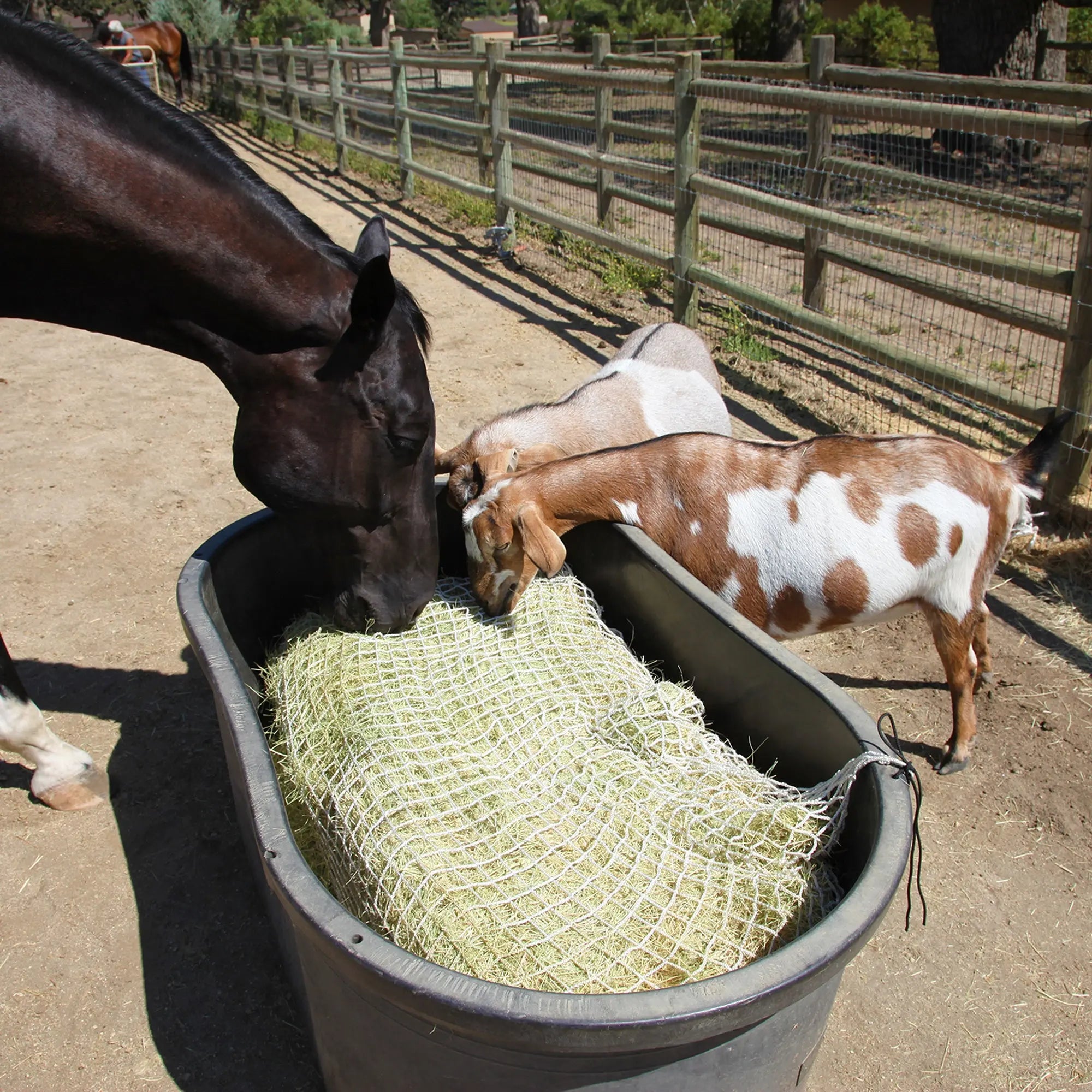 Freedom Feeder Full Bale Net - 3 String Bale Capacity - 3 Slow Feed Mesh Options - Equine Exchange Tack Shop
