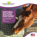 Freedom Feeder Full Bale Net - 3 String Bale Capacity - 3 Slow Feed Mesh Options - Equine Exchange Tack Shop