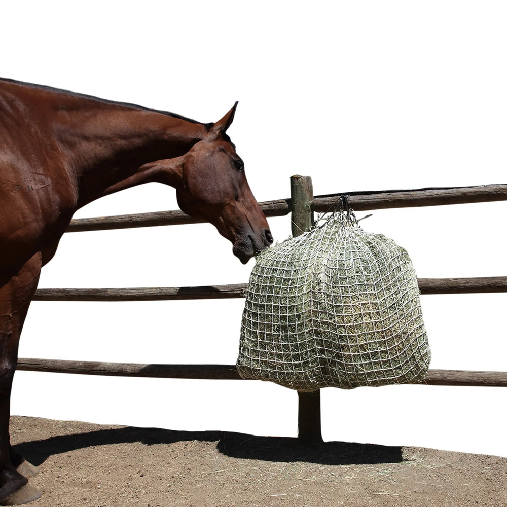 Freedom Feeder Day Net - 4 Flake Capacity - 3 Size Slow Feed Mesh Options - Equine Exchange Tack Shop