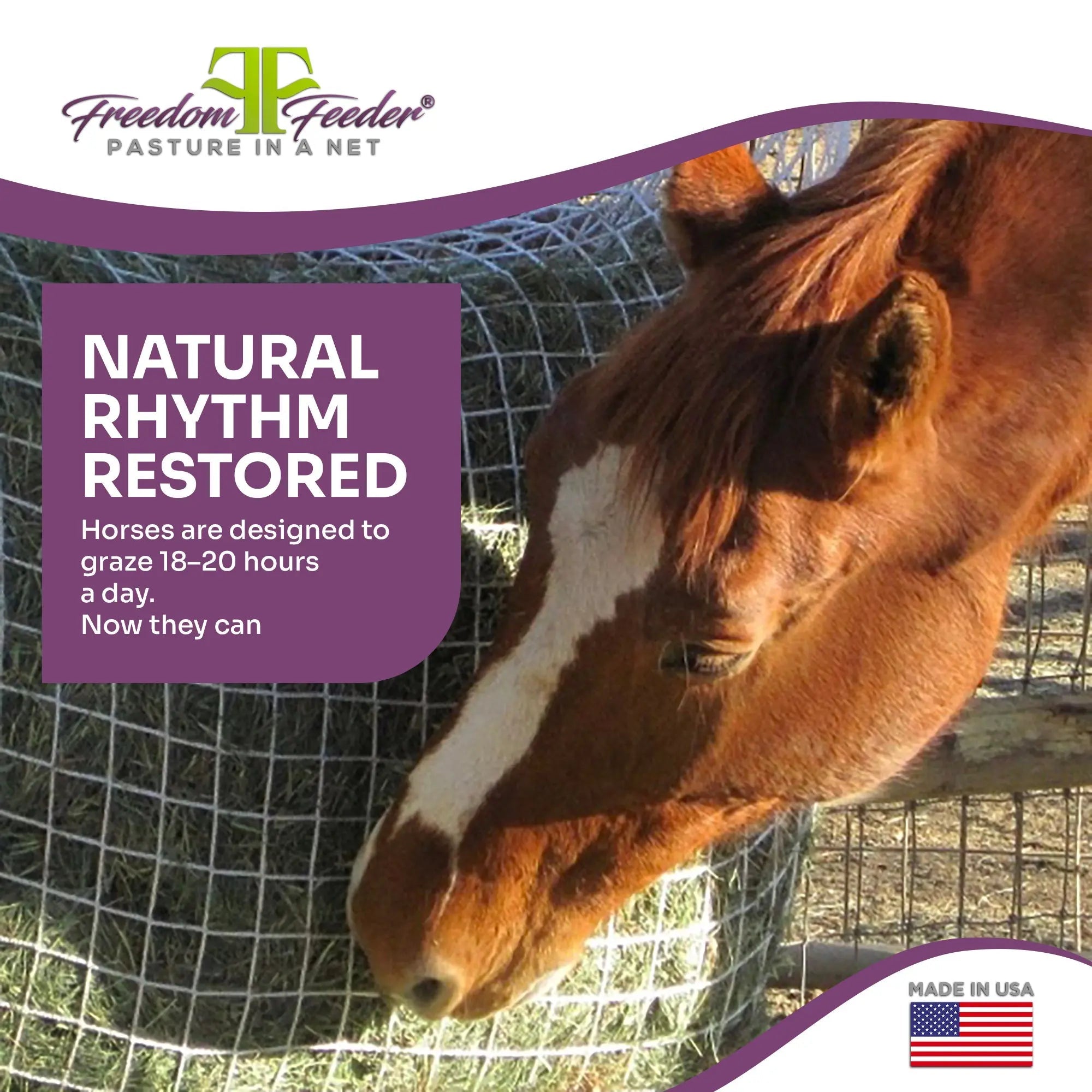 Freedom Feeder Day Net - 4 Flake Capacity - 3 Size Slow Feed Mesh Options - Equine Exchange Tack Shop
