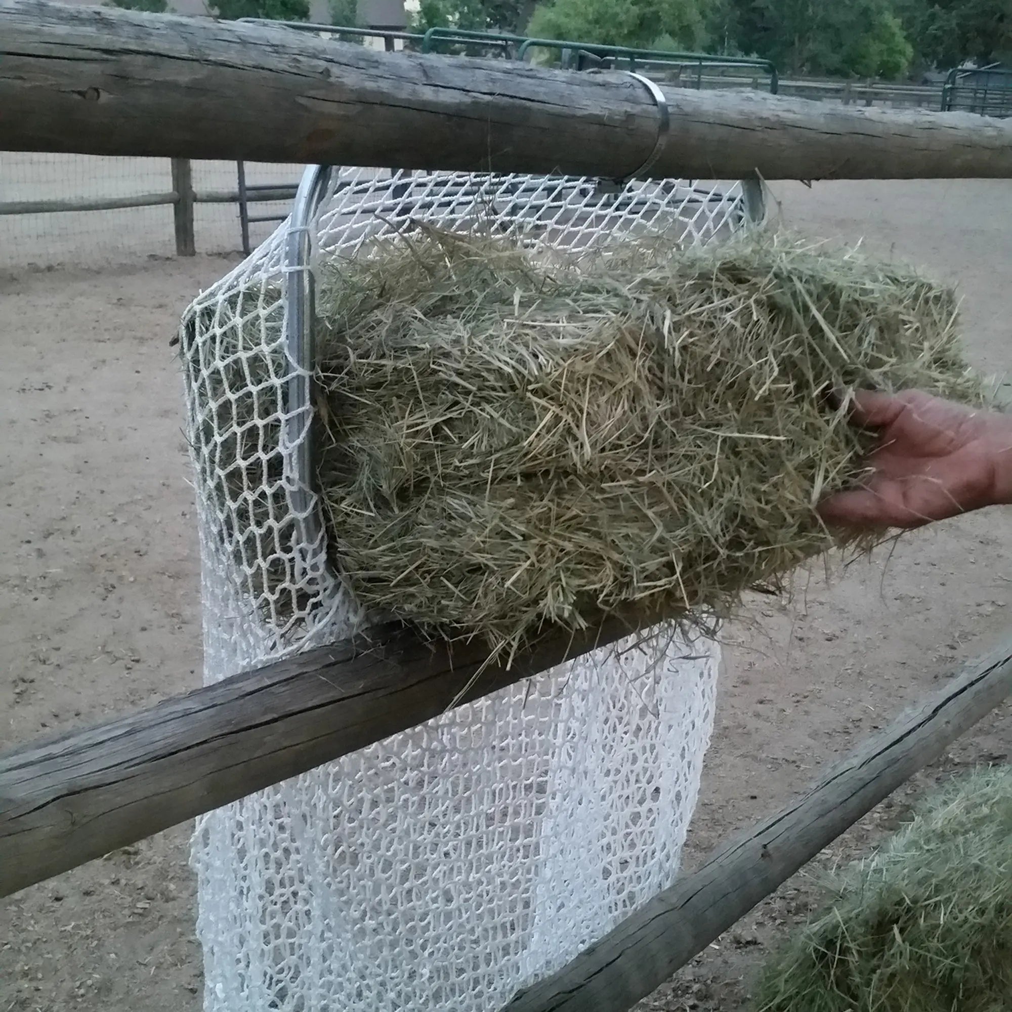 Slow Feed - Freedom Feeder Frame - Equine Exchange Tack Shop