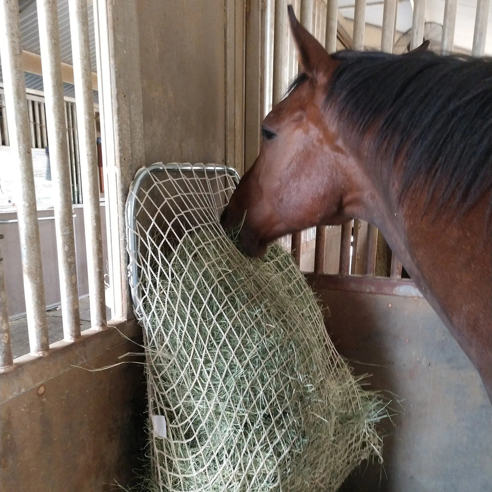 Slow Feed - Freedom Feeder Frame - Equine Exchange Tack Shop