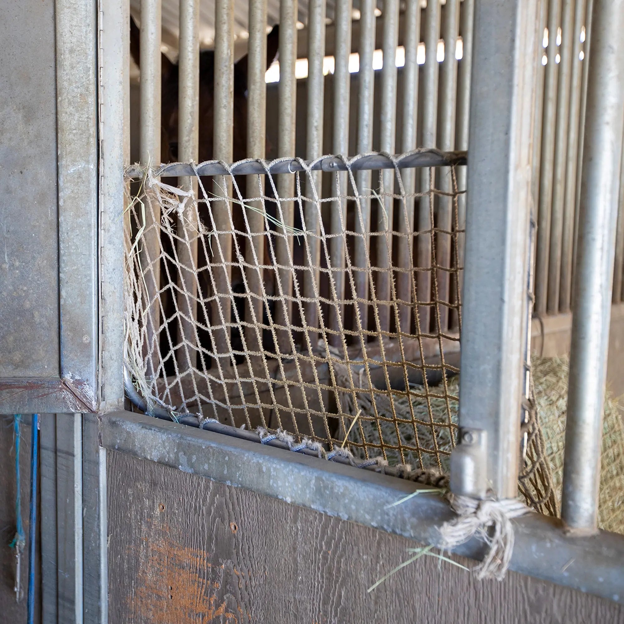 Slow Feed - Freedom Feeder Frame - Equine Exchange Tack Shop