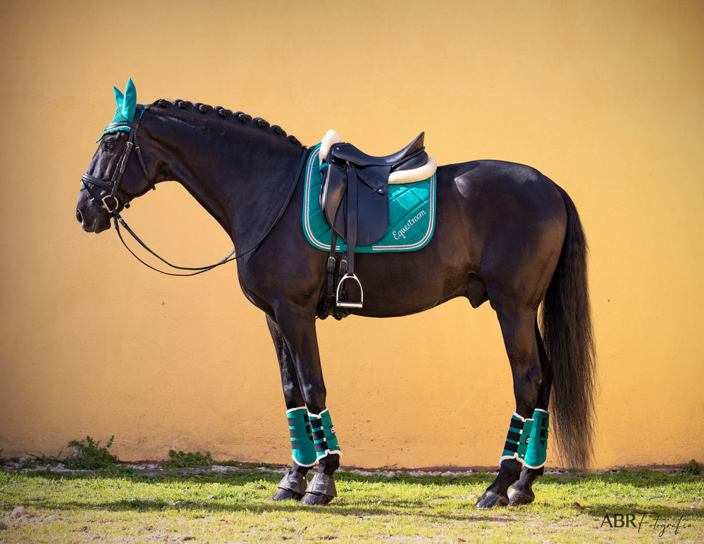 Teal Saddle Pad Set - Equine Exchange Tack Shop