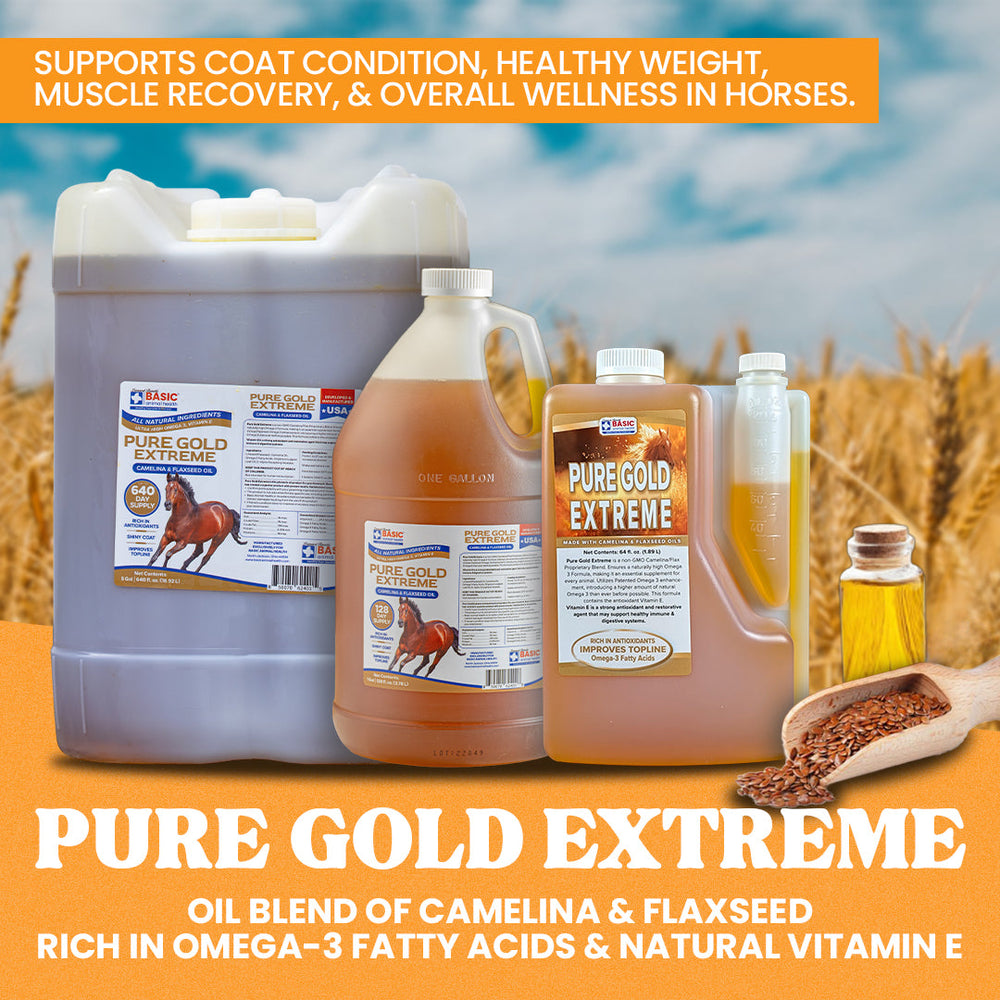 Pure Gold Extreme for Horses