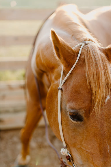 Hand Tied Rope Headstall - Equine Exchange Tack Shop