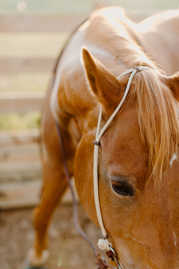 Hand Tied Rope Headstall - Equine Exchange Tack Shop