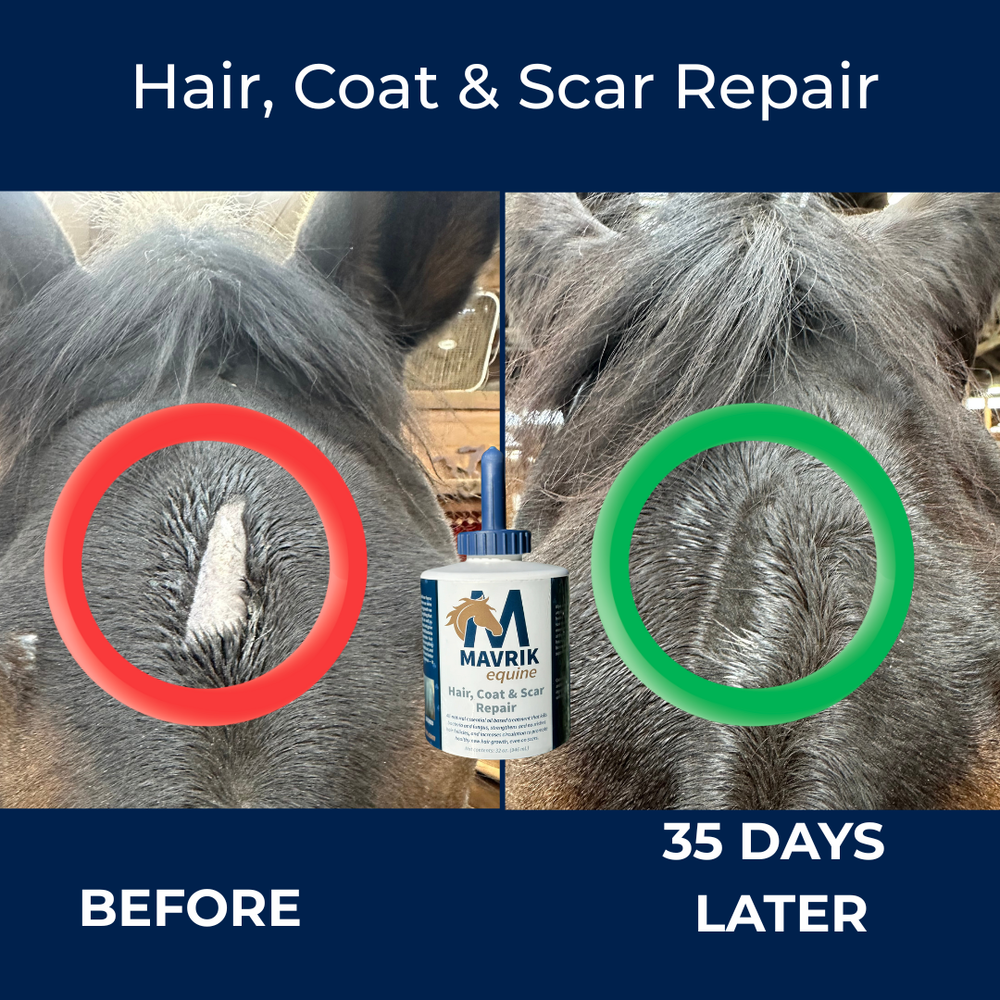 MAVRIK Hair, Coat and Scar Repair - Equine Exchange Tack Shop