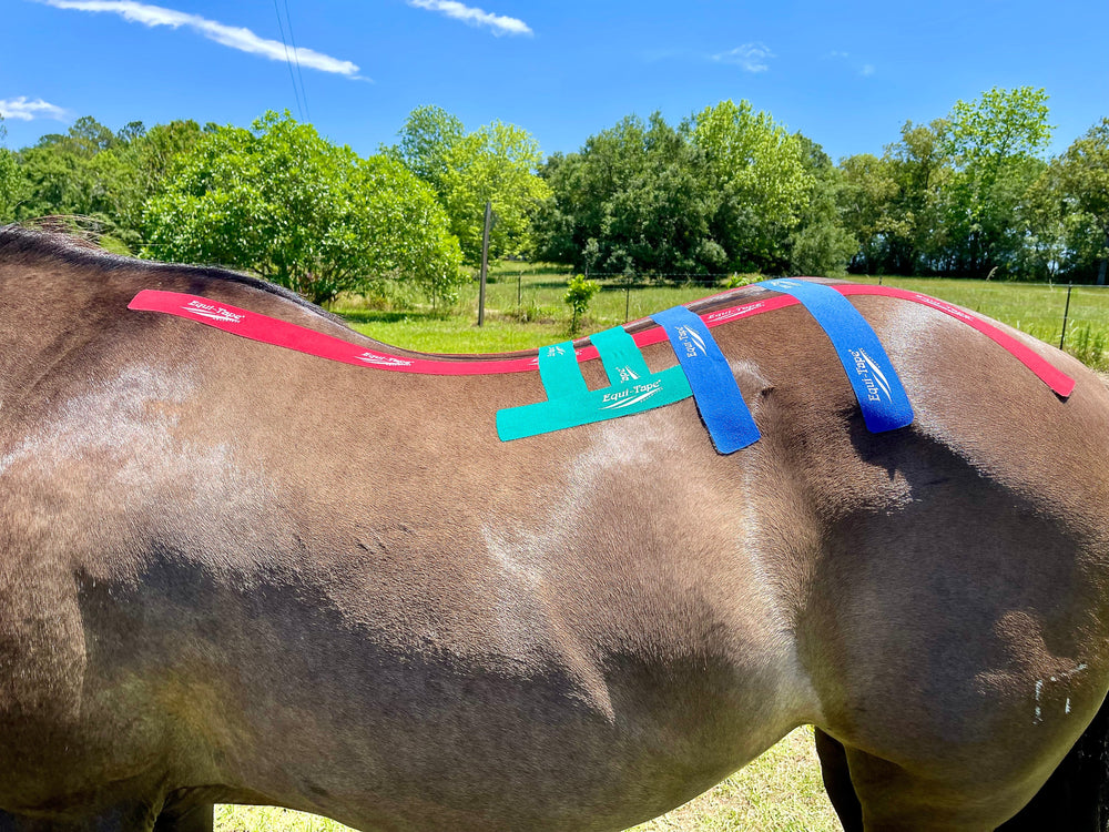 Equi-Tape® Advanced Education Package - Equine Exchange Tack Shop