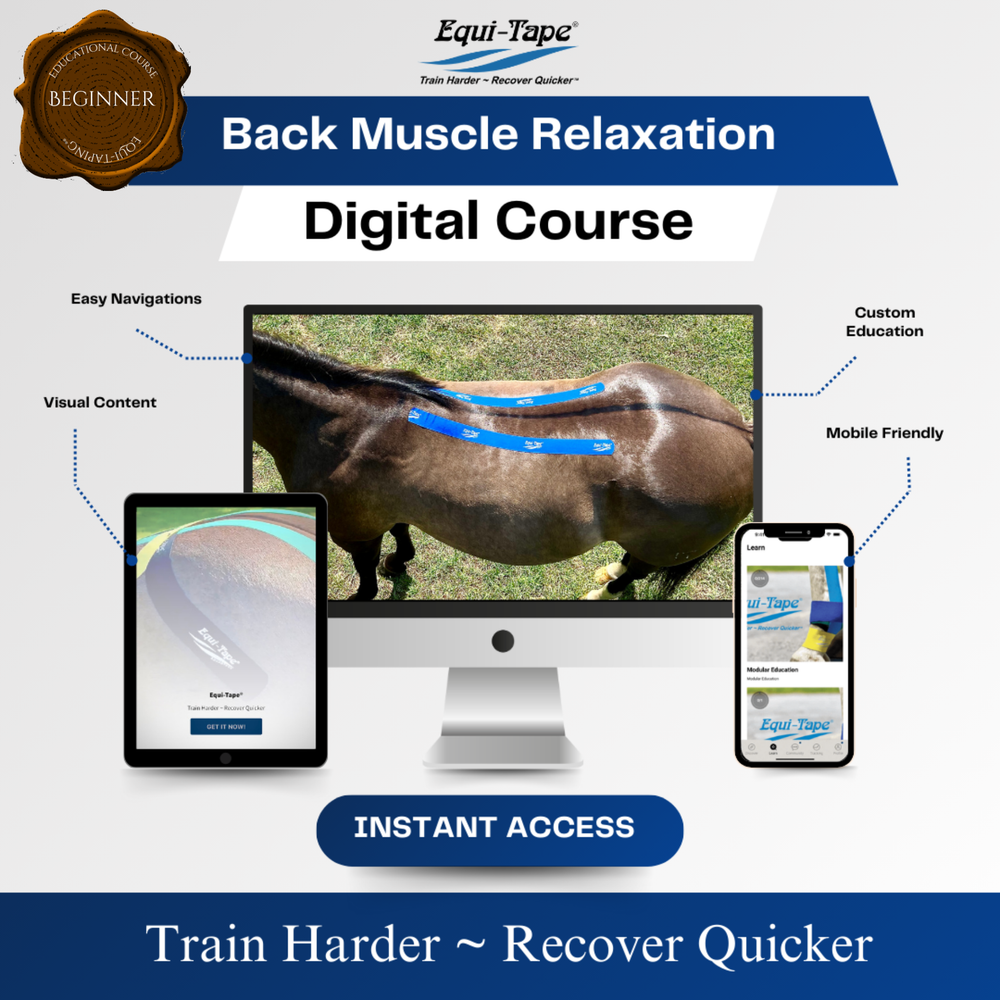 Module: The Back - Equine Exchange Tack Shop