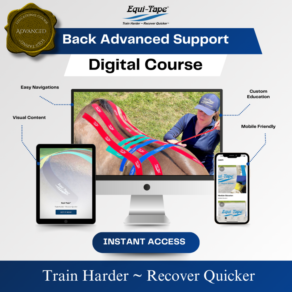 Module: The Back - Equine Exchange Tack Shop