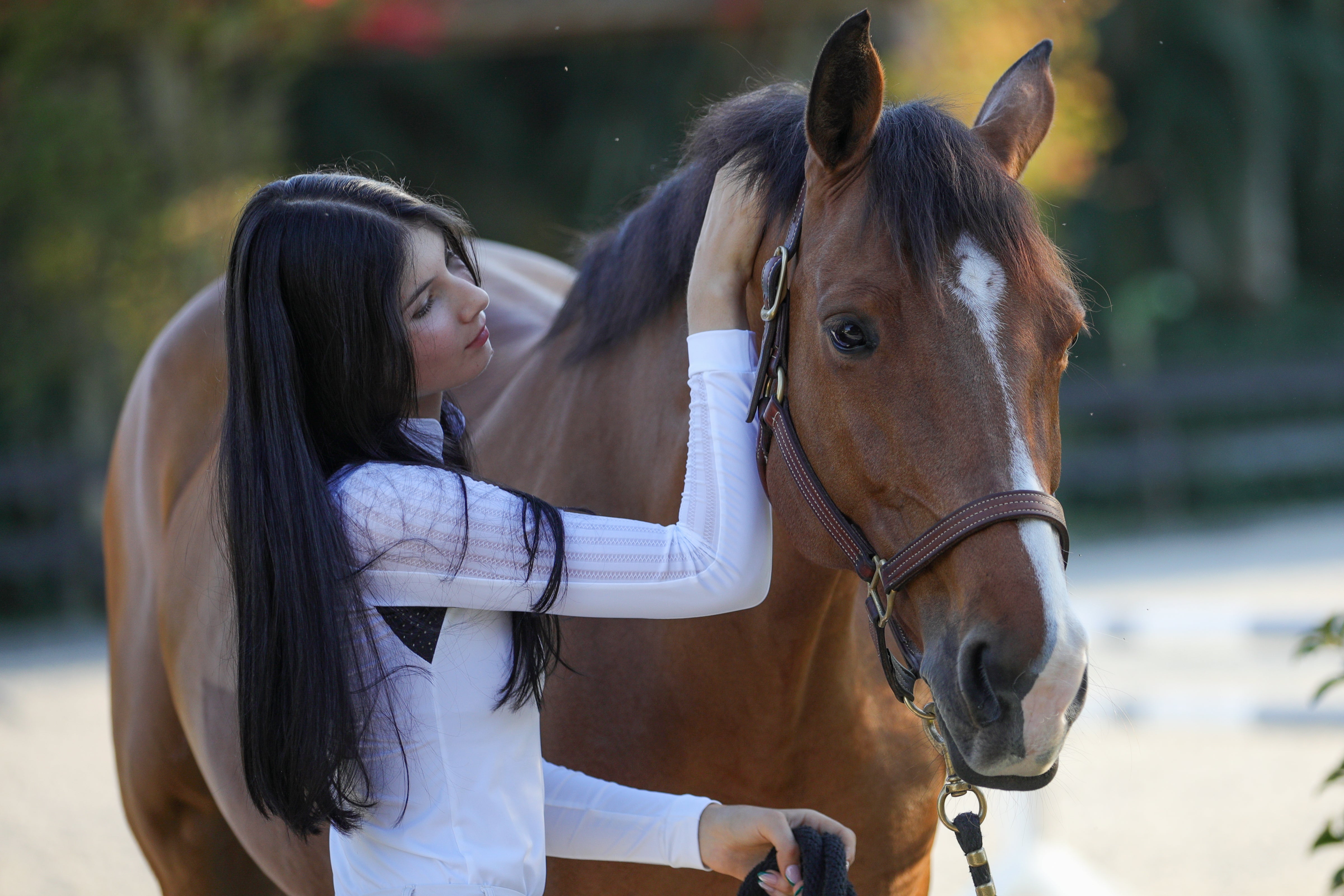 BellEq™ LOLLY Show Shirt - Equine Exchange Tack Shop