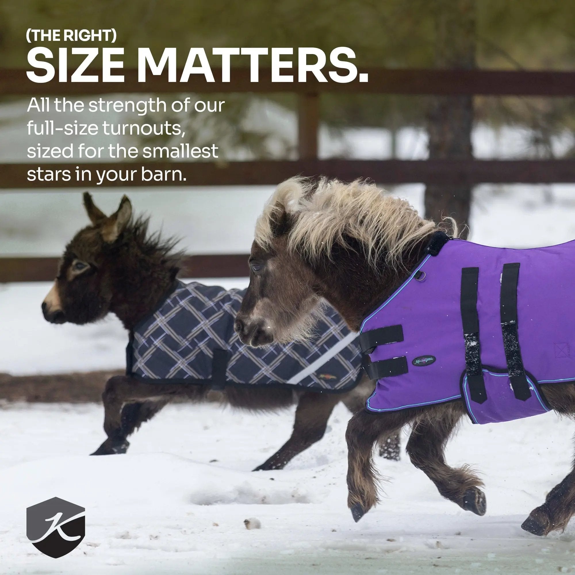 1200D 180G Medium Weight Waterproof & Breathable Mini Winter Turnout Blanket - Equine Exchange Tack Shop