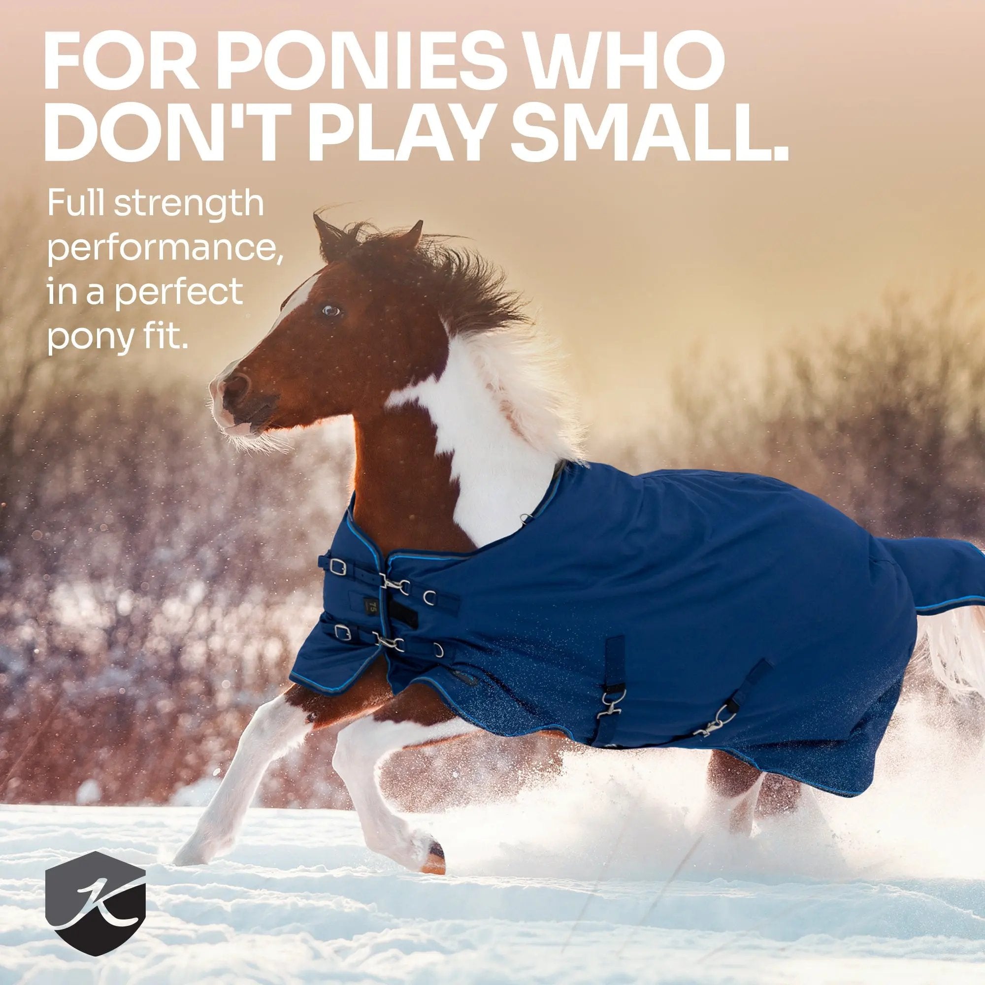 1200D 300G Heavy Weight Waterproof & Breathable Pony Winter Turnout - Equine Exchange Tack Shop