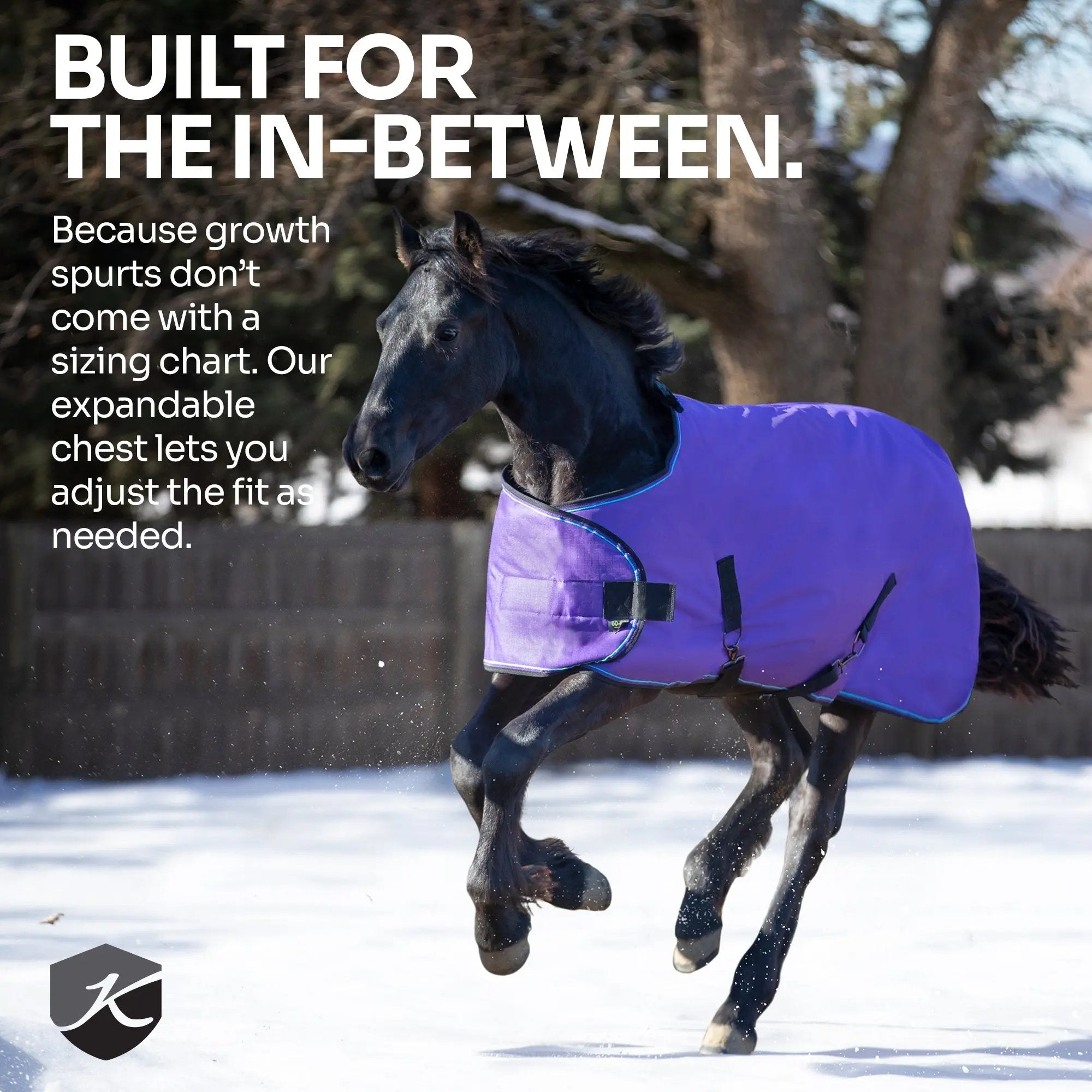 1200D 180G Medium Weight Waterproof & Breathable Adjustable Yearling Winter Turnout Blanket - Equine Exchange Tack Shop