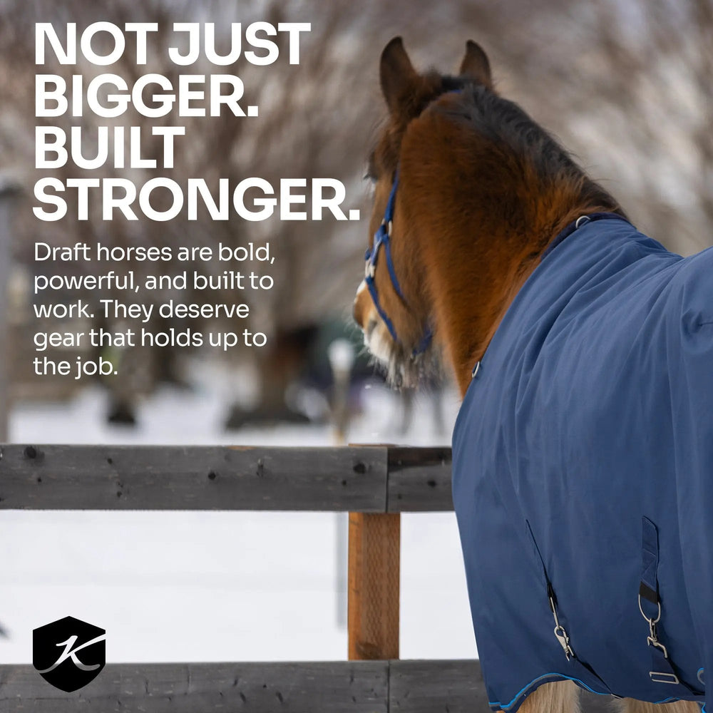 1200D 80G Light Weight Waterproof & Breathable Draft Winter Turnout Blanket - Equine Exchange Tack Shop