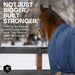 1200D 300G Heavy Weight Waterproof & Breathable Draft Winter Turnout Blanket - Equine Exchange Tack Shop