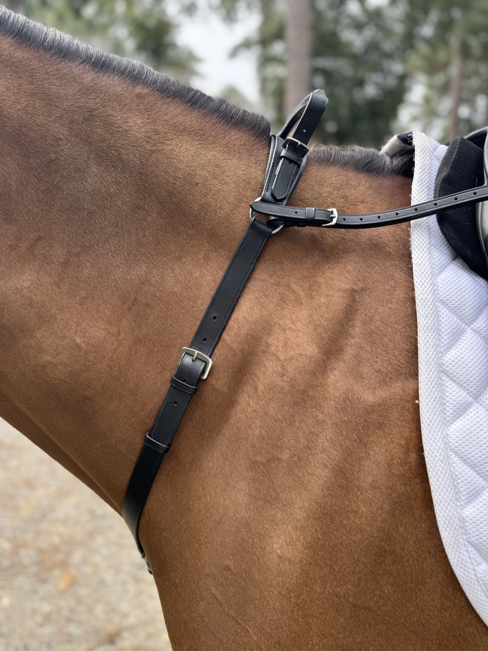 Double Neck Strap - Equine Exchange Tack Shop