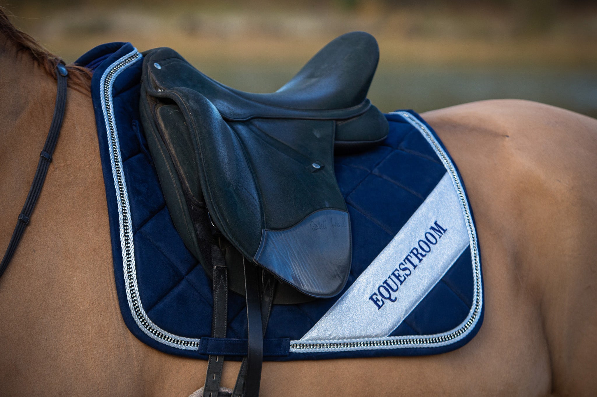 Blue Astra Saddle Pad Set - Equine Exchange Tack Shop