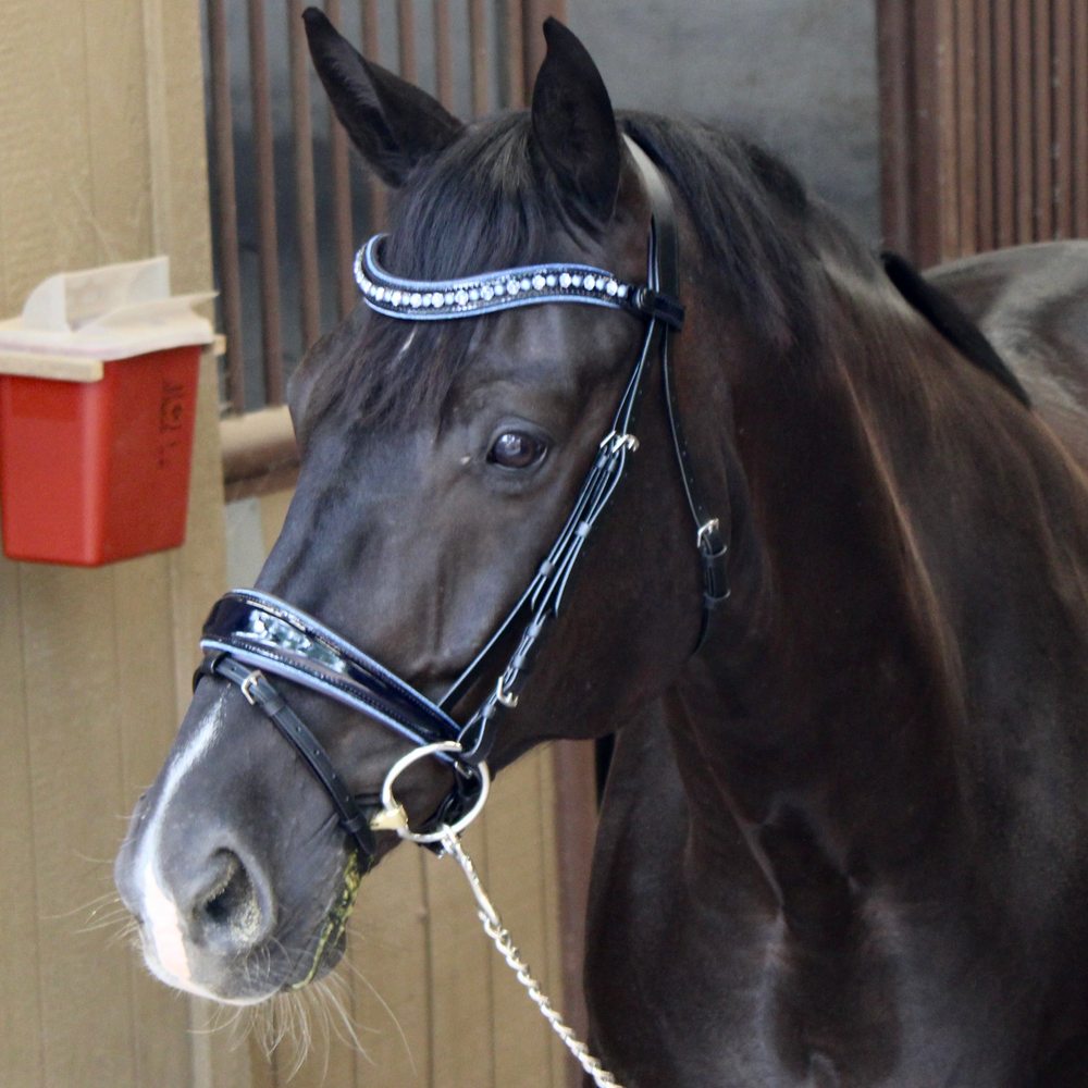 The Bluebell - Navy Patent Leather Snaffle Bridle with REMOVABLE FLASH - Equine Exchange Tack Shop