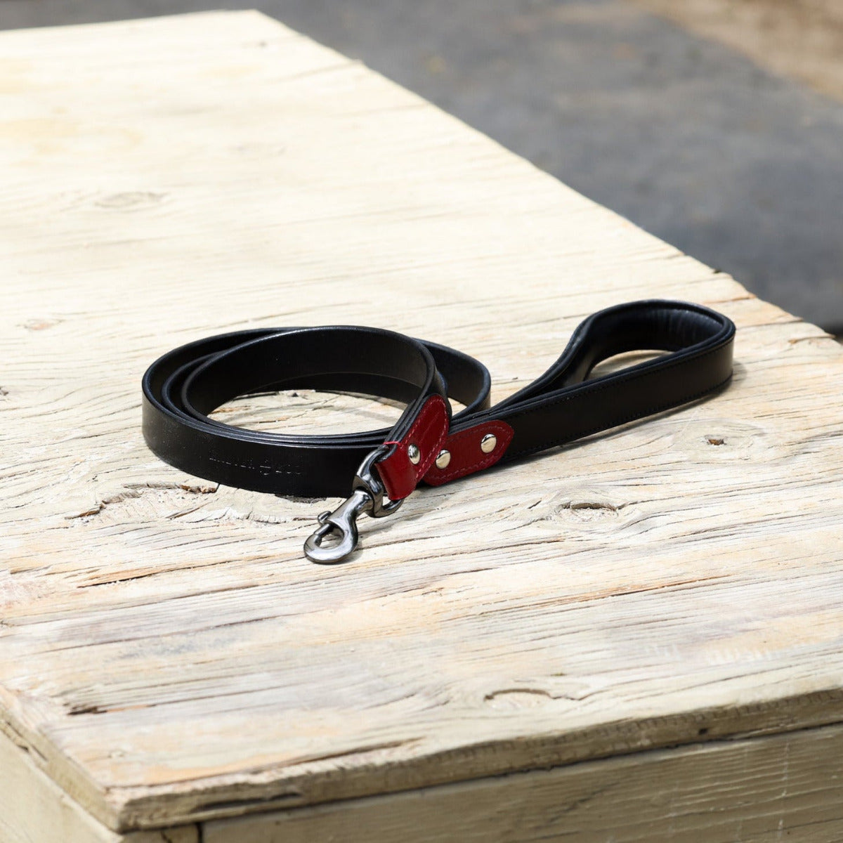 Halter Ego® Breanna Dog Leash - Equine Exchange Tack Shop