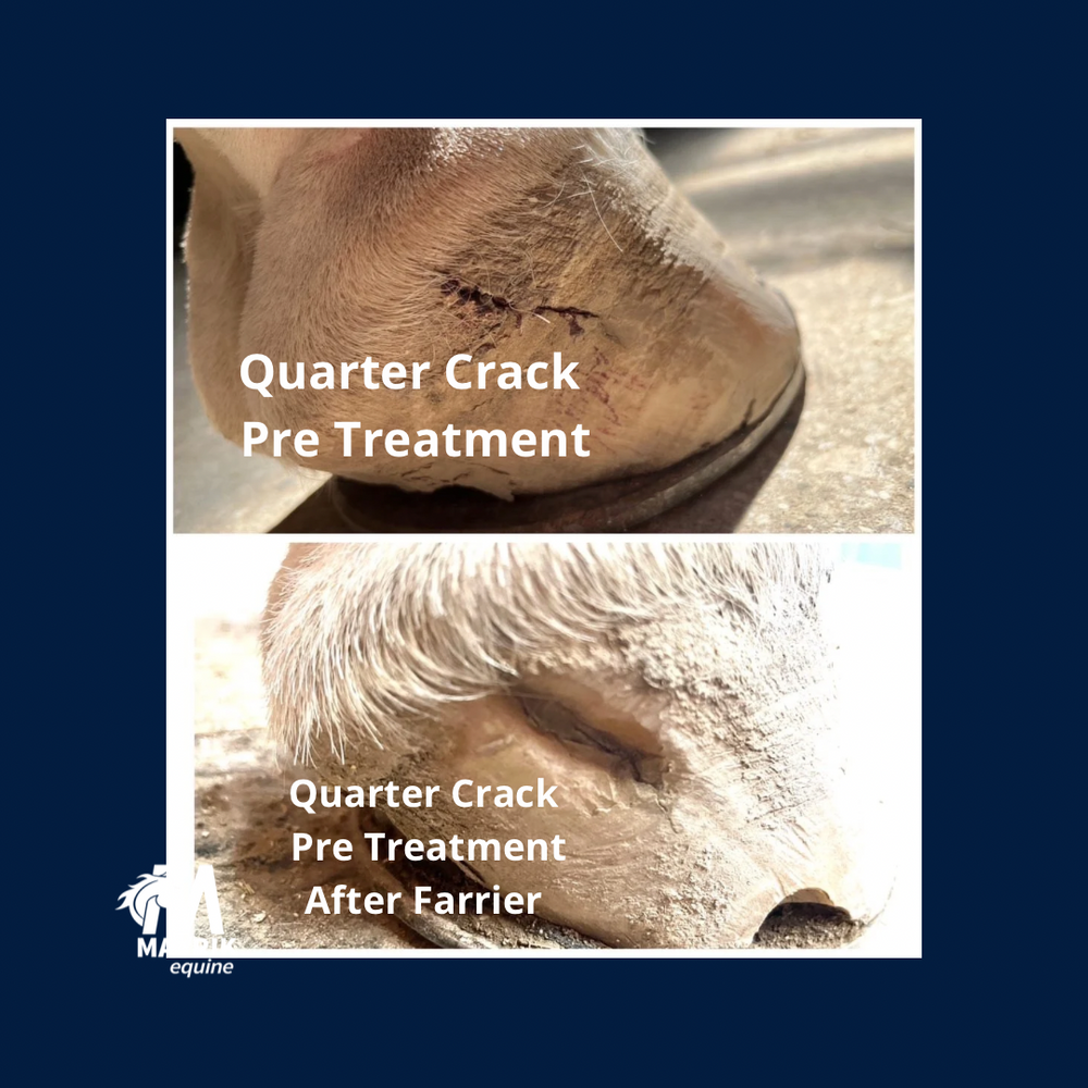 MAVRIK Hoof Oil - Equine Exchange Tack Shop