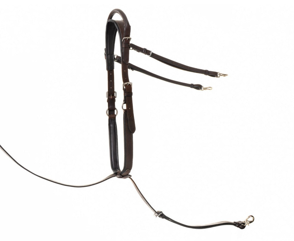 Standing Martingale Add-on for Double Neck Strap