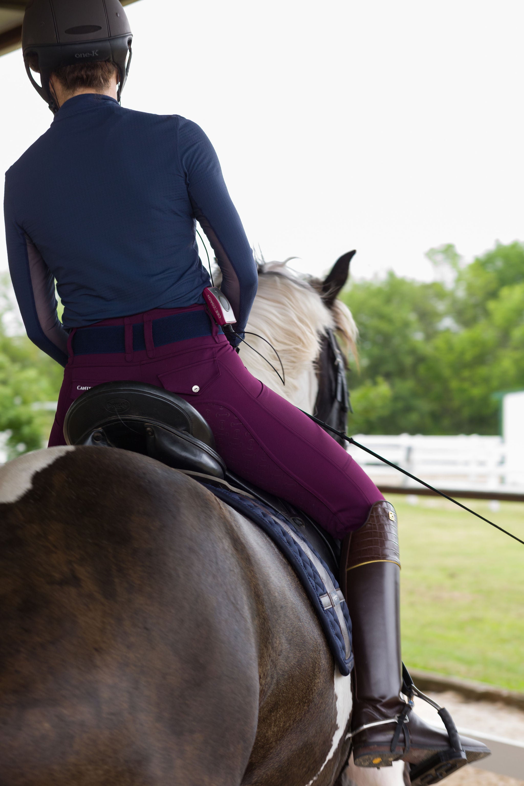 Athletic Breech - Purple Rein - Equine Exchange Tack Shop