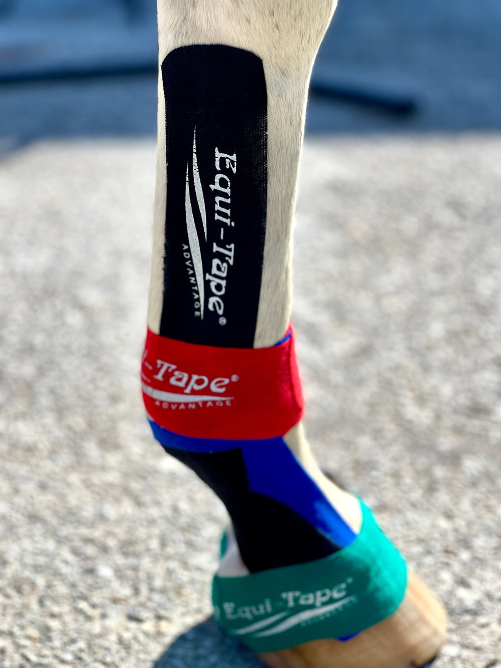 Equi-Tape® Advanced Education Package - Equine Exchange Tack Shop